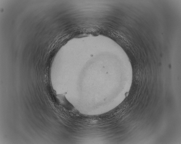 X0000067470743200605051646