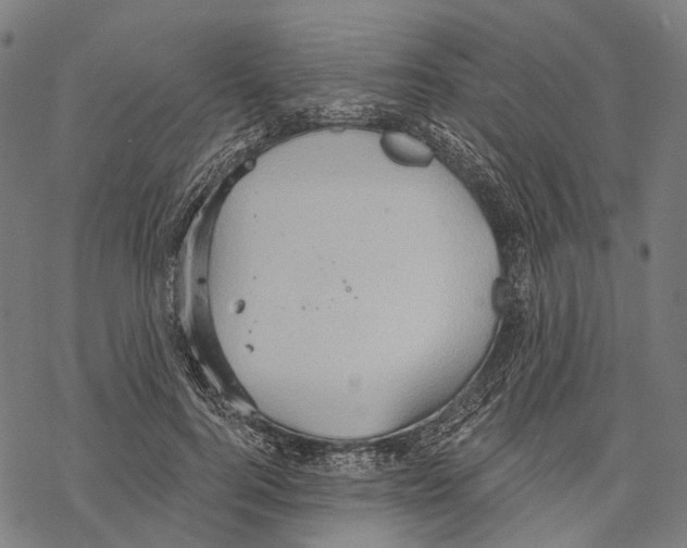 X0000067470744200605051646