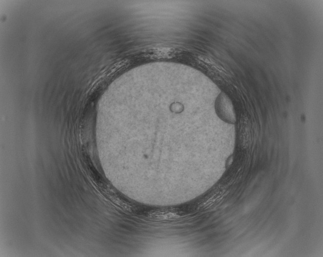 X0000067470747200605051647