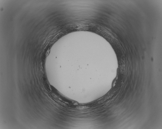 X0000067470748200605051647