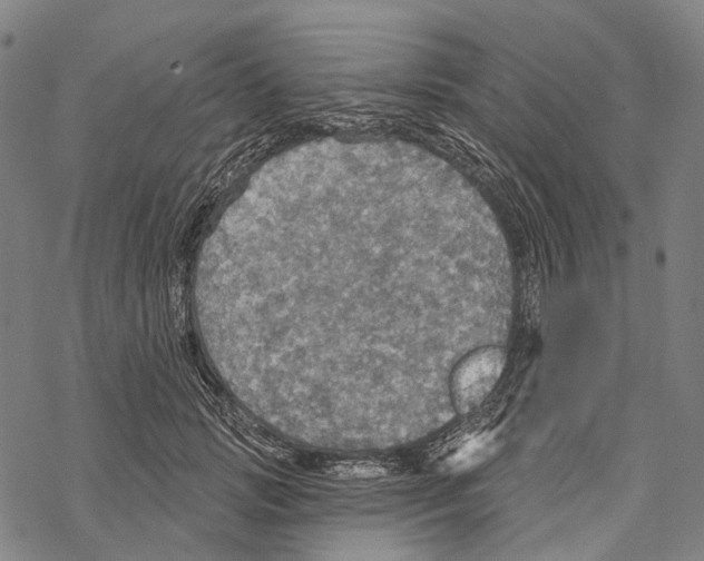 X0000067470749200605051647