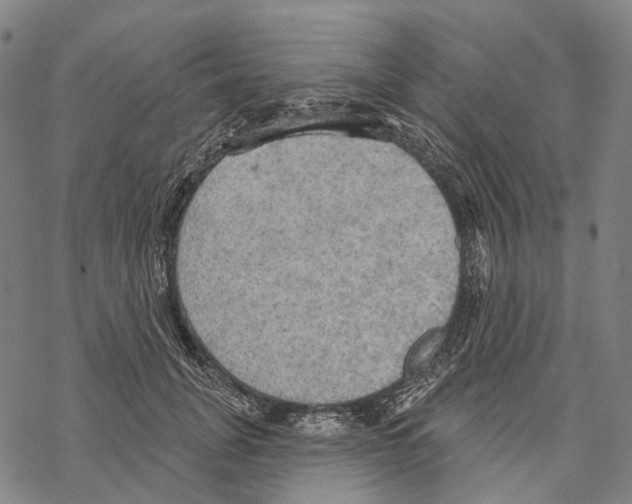 X0000067470751200605051647