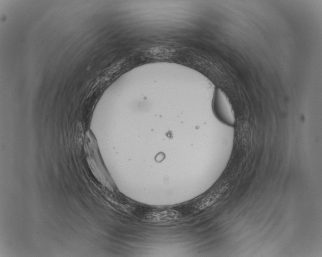 X0000067470752200605051647