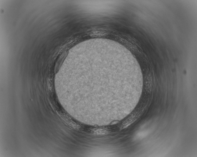 X0000067470755200605051647