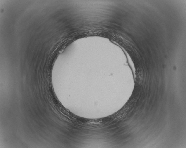 X0000067470756200605051647