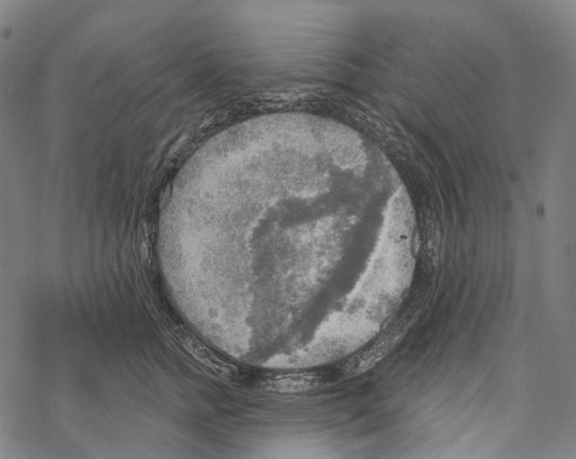 X0000067470758200605051647