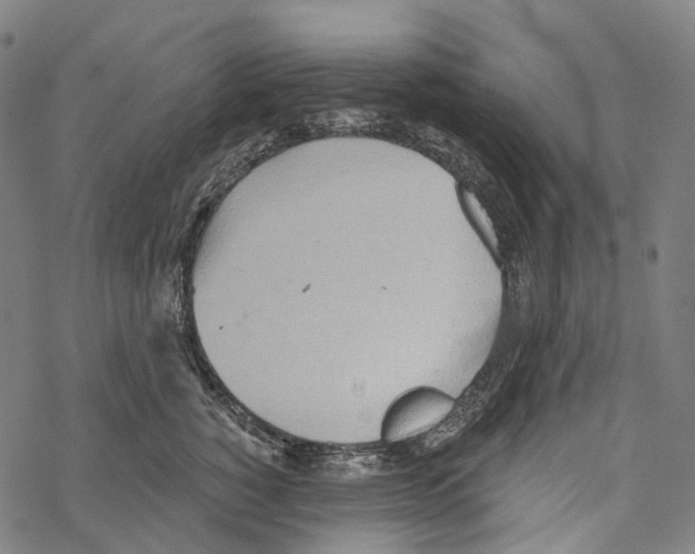 X0000067470760200605051647