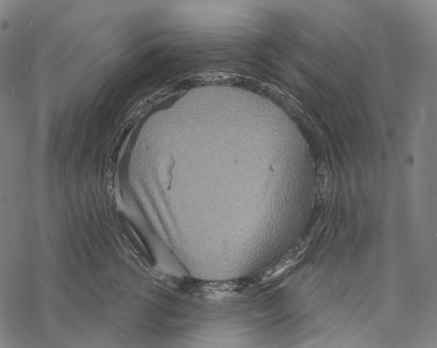 X0000067470762200605051647