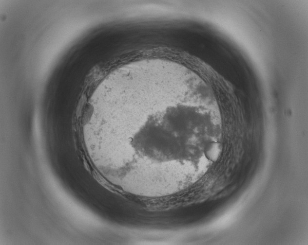 X0000067470765200605051647