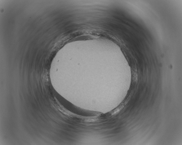 X0000067470766200605051647