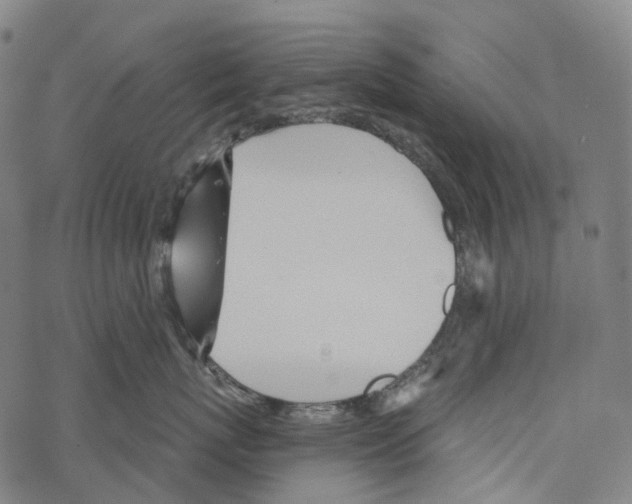 X0000067470767200605051647