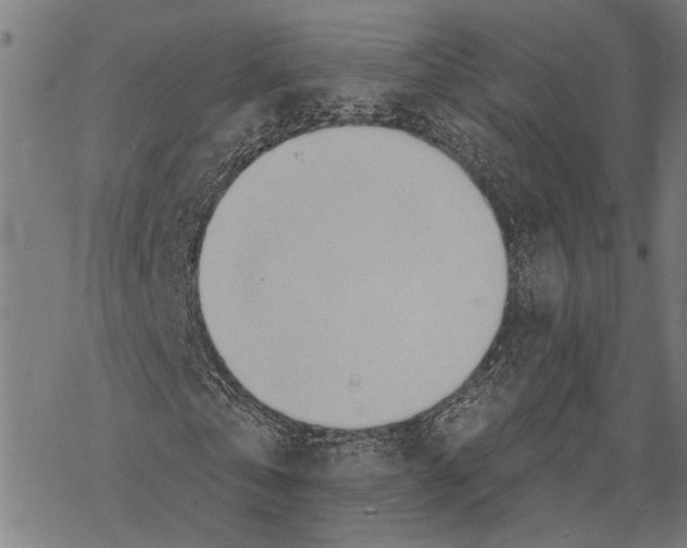 X0000067470769200605051646