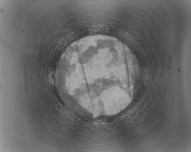 X0000067470770200605051646