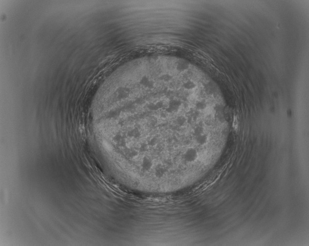 X0000067470771200605051646