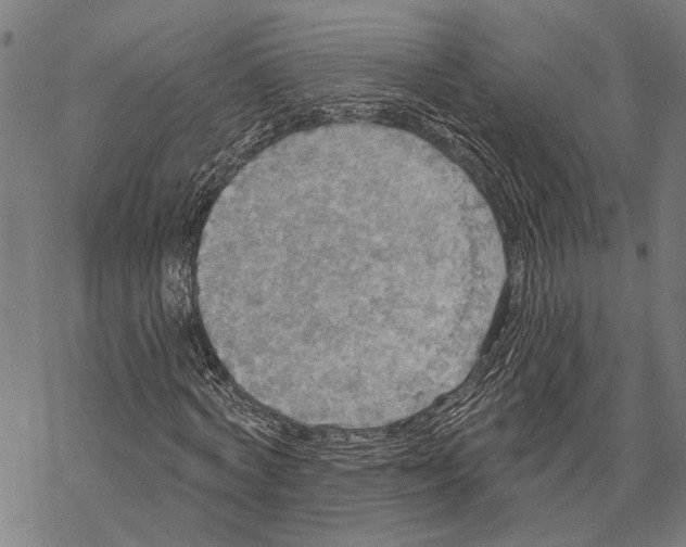 X0000067470772200605051646