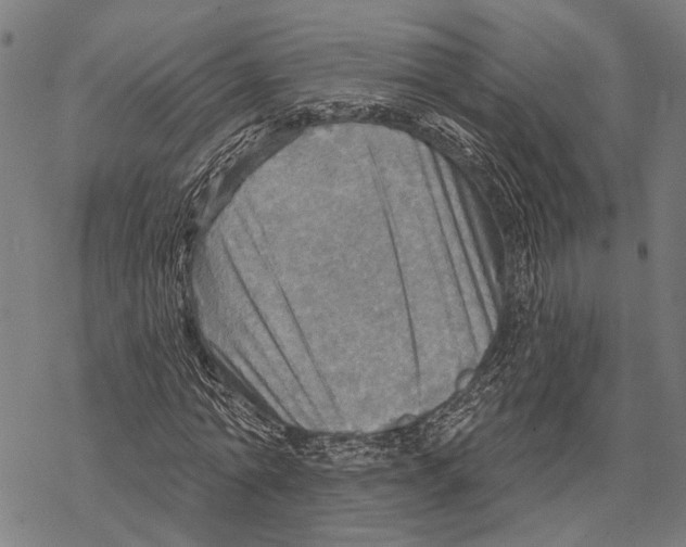 X0000067470774200605051646