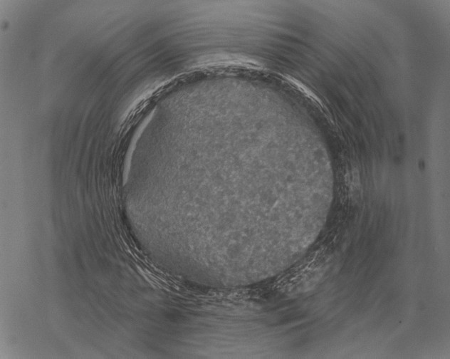 X0000067470775200605051646