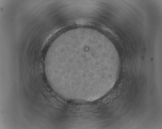 X0000067470776200605051646