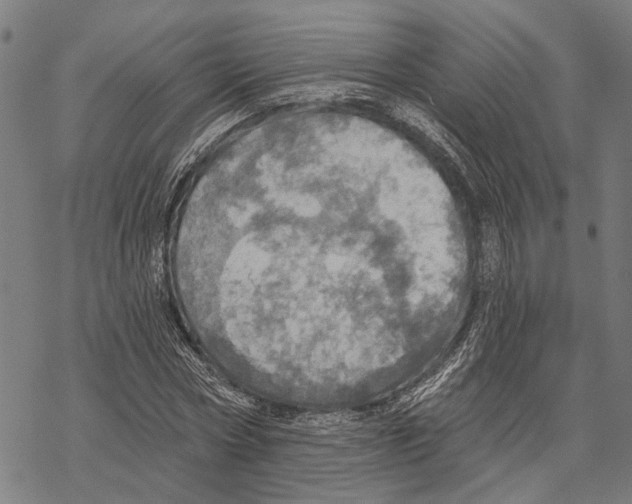 X0000067470778200605051646