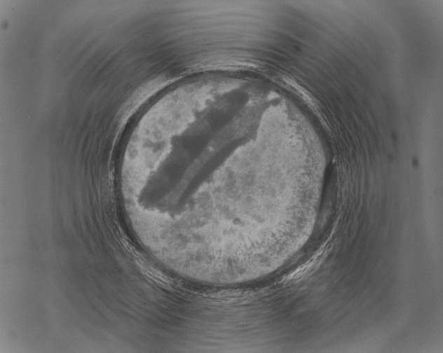 X0000067470779200605051646