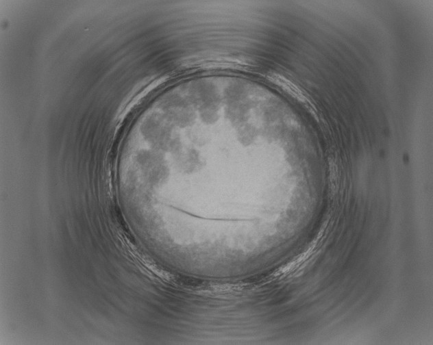 X0000067470782200605051646