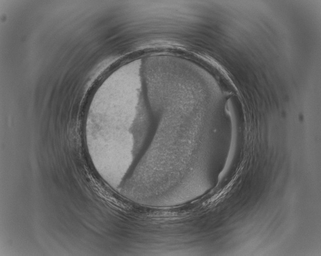 X0000067470783200605051646