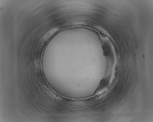 X0000067470785200605051646