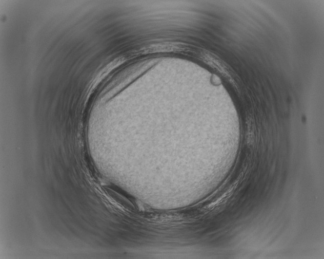 X0000067470786200605051646