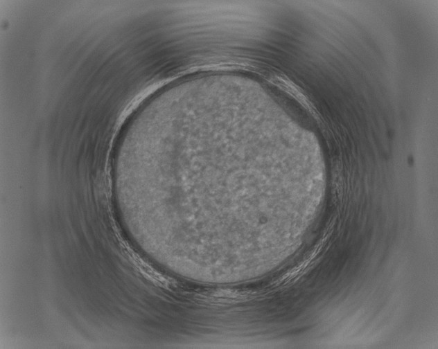 X0000067470787200605051646