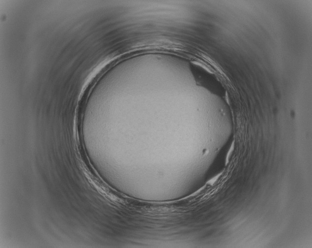 X0000067470788200605051646