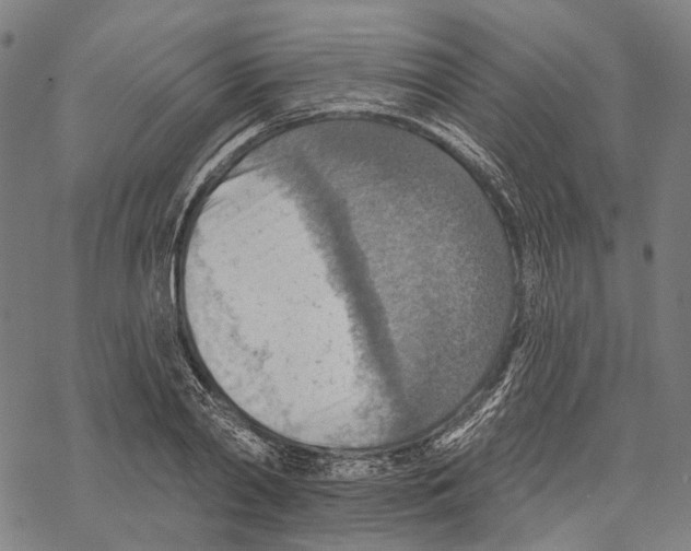 X0000067470790200605051646