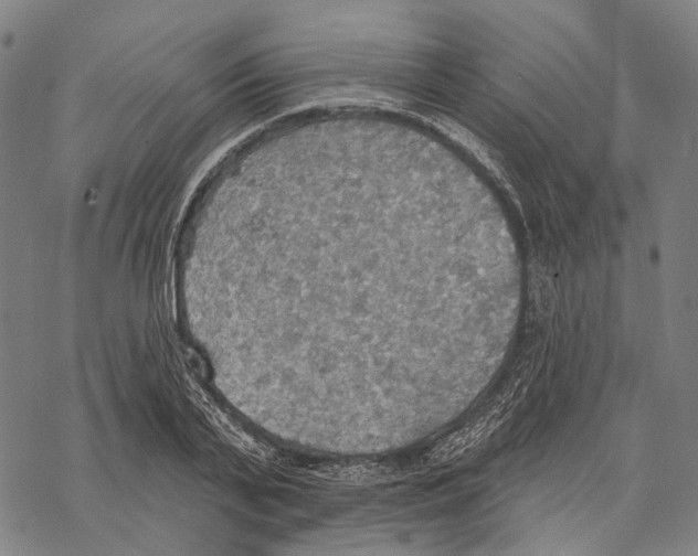 X0000067470791200605051646