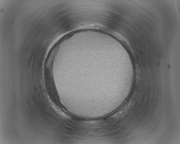 X0000067470792200605051646