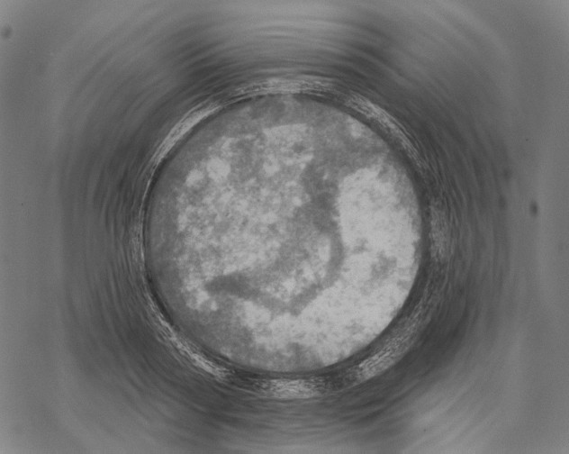 X0000067470794200605051646