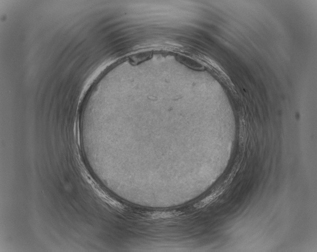 X0000067470796200605051646