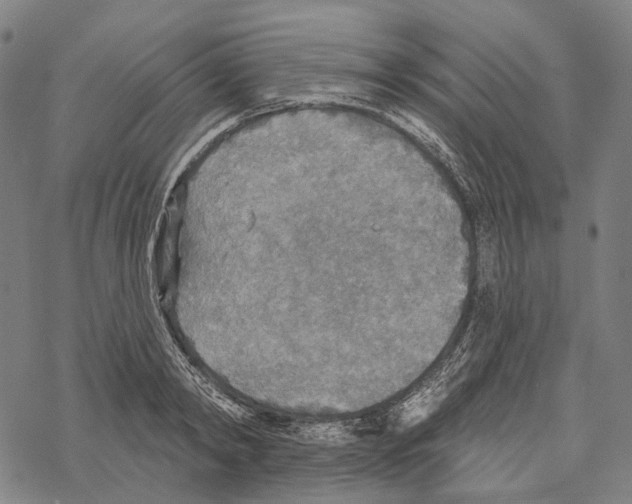 X0000067470798200605051646