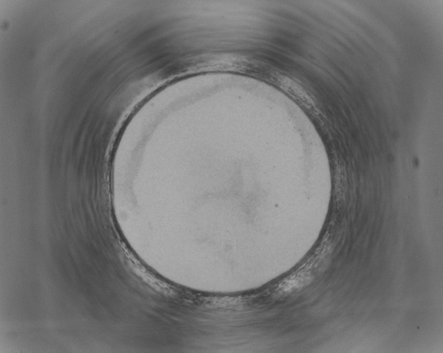 X0000067470800200605051646