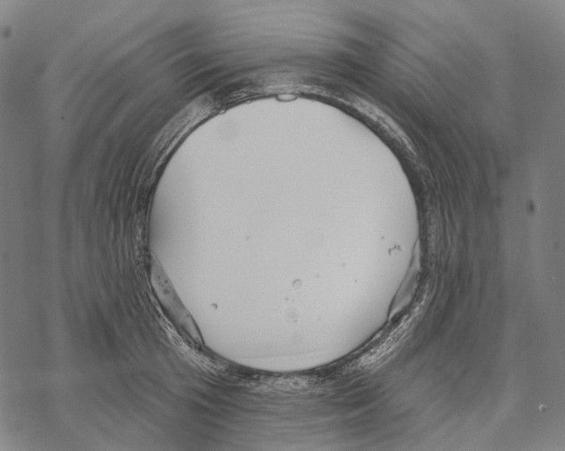 X0000067470801200605051645