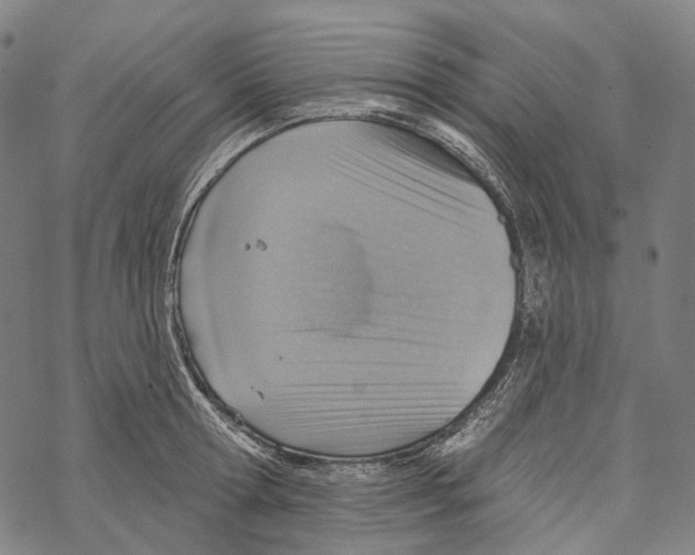 X0000067470802200605051645