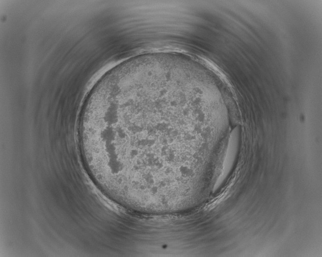 X0000067470803200605051645