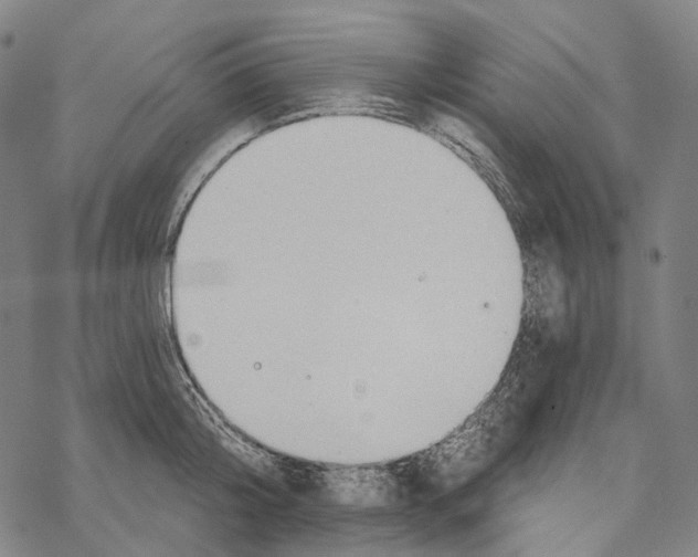 X0000067470804200605051645