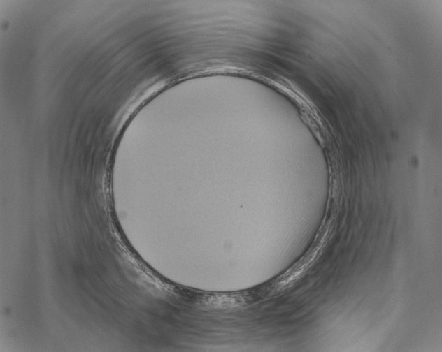 X0000067470806200605051645