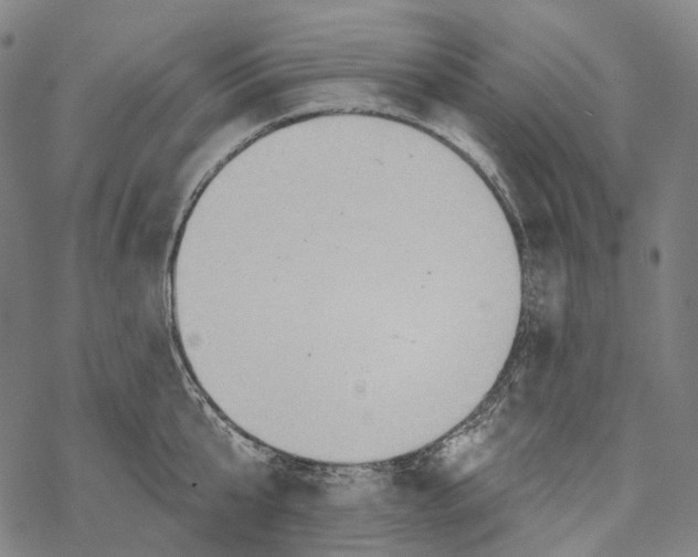 X0000067470807200605051645