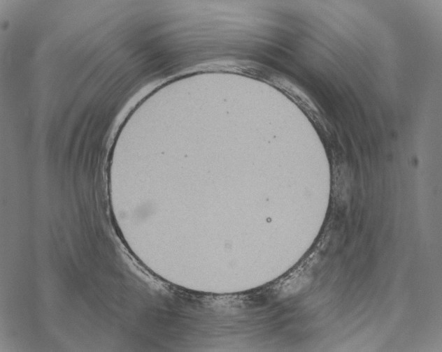 X0000067470808200605051645