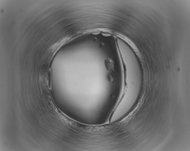 X0000067470809200605051645