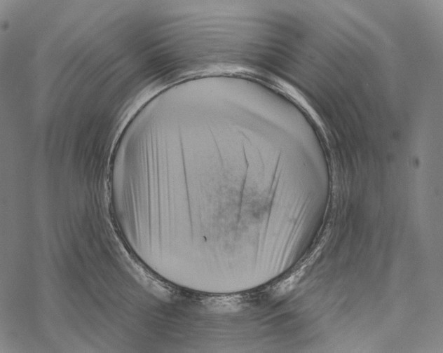 X0000067470810200605051645