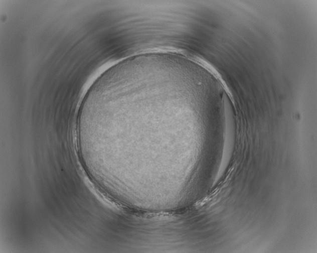 X0000067470811200605051645