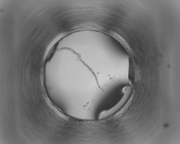 X0000067470812200605051645