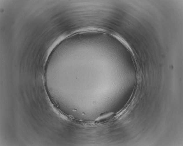 X0000067470813200605051645