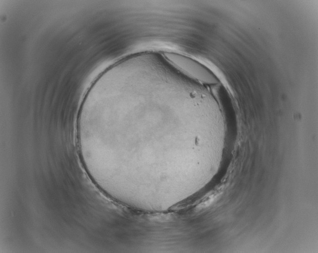 X0000067470815200605051645